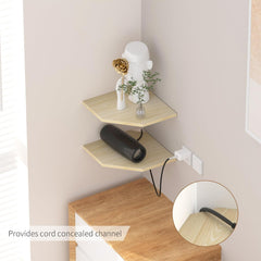 Corner Shelves
